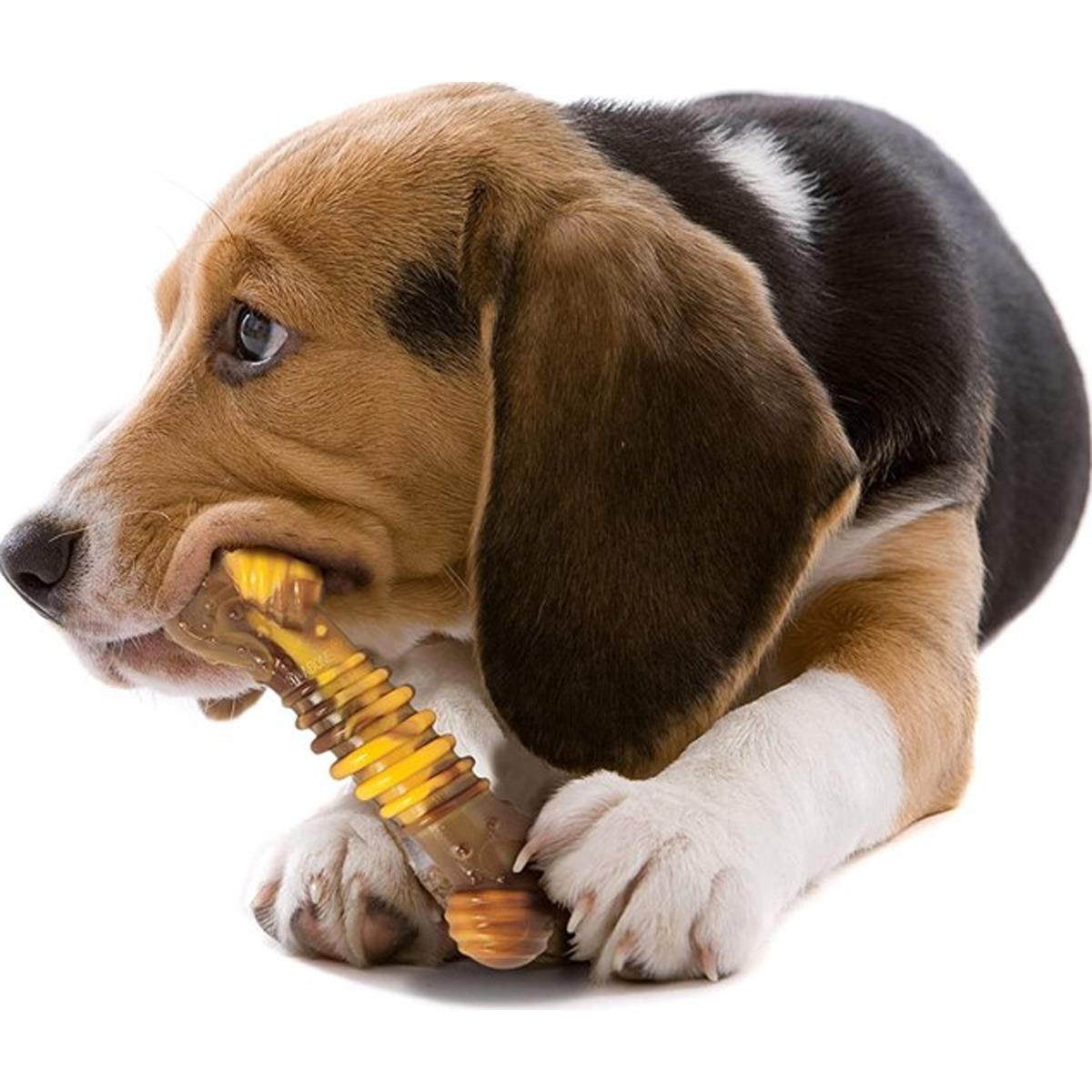Nylabone Dura Chew Philly CheeseSteak Dog Toy