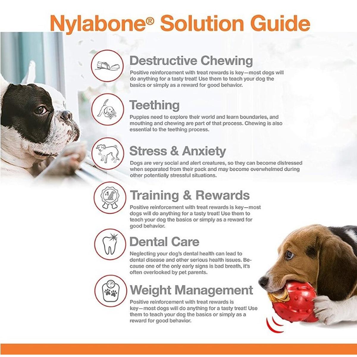 Nylabone Dura Chew Philly CheeseSteak Dog Toy