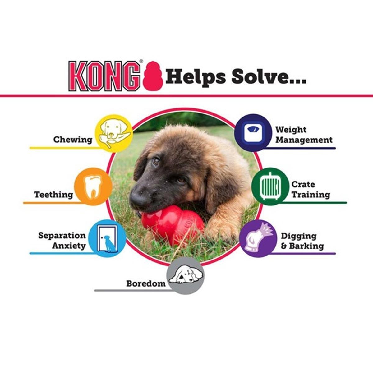 Kong Extreme Classic Dog Toy
