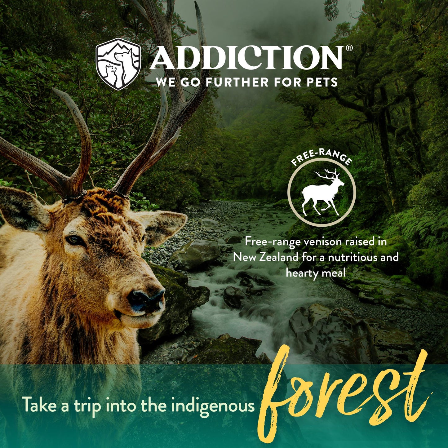 Addiction Venison Meaty Bites, Limited Ingredients Grain-Free Dog Treats