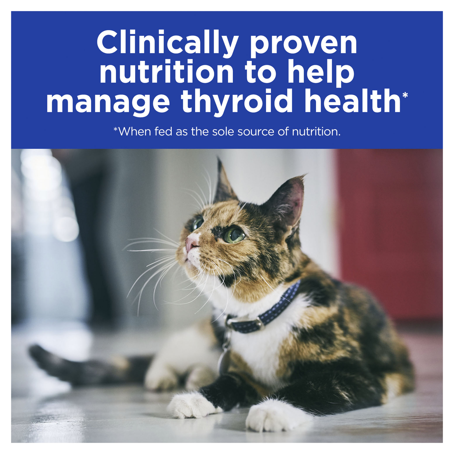 Hill's Prescription Diet y/d Thyroid Care Dry Cat Food