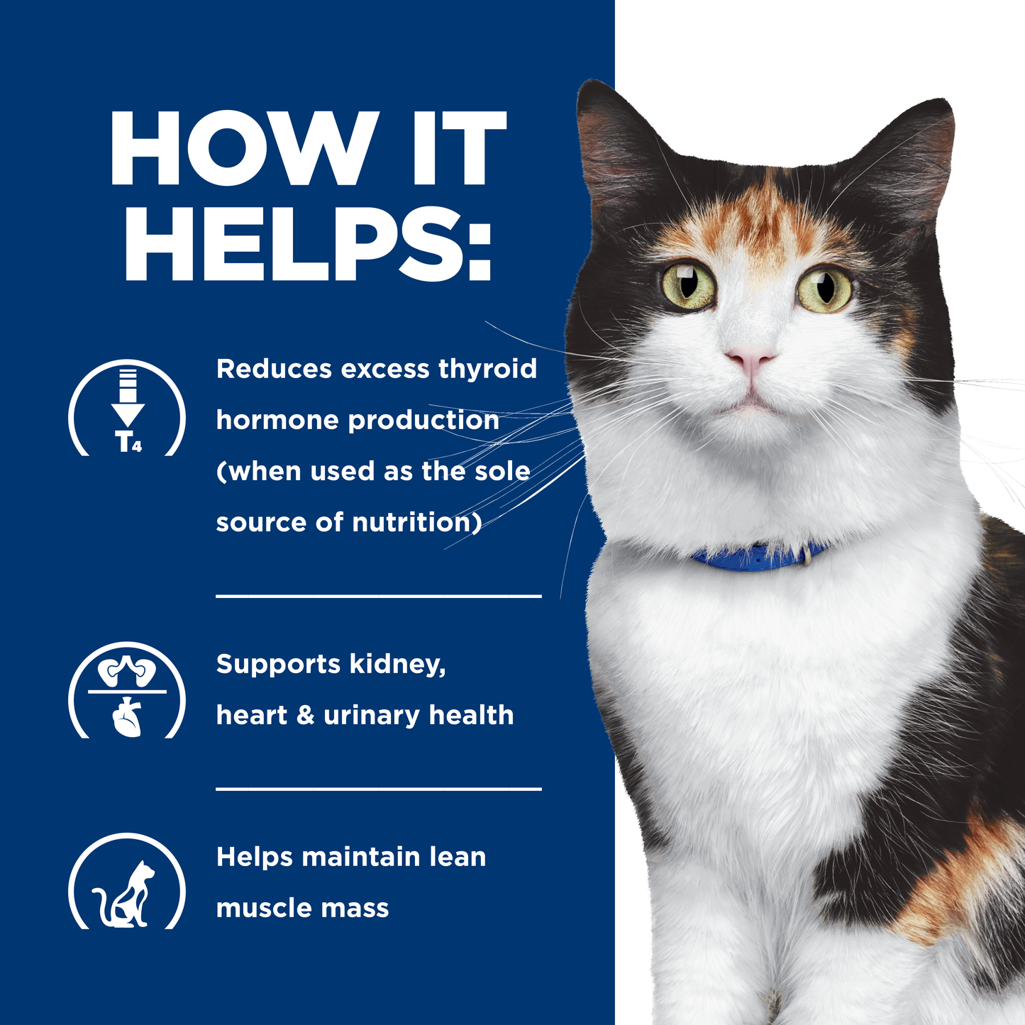 Hill's Prescription Diet y/d Thyroid Care Dry Cat Food