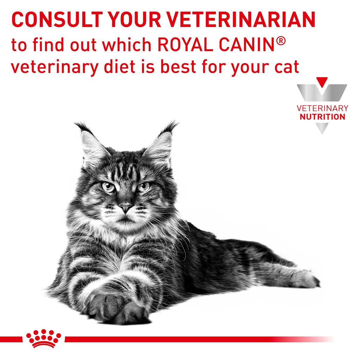 Royal Canin Veterinary Diet Gastro Intestinal Dry Cat Food