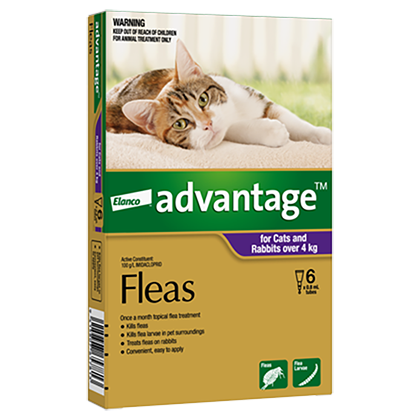 Advantage Flea Treatment For Cats Over 4kg