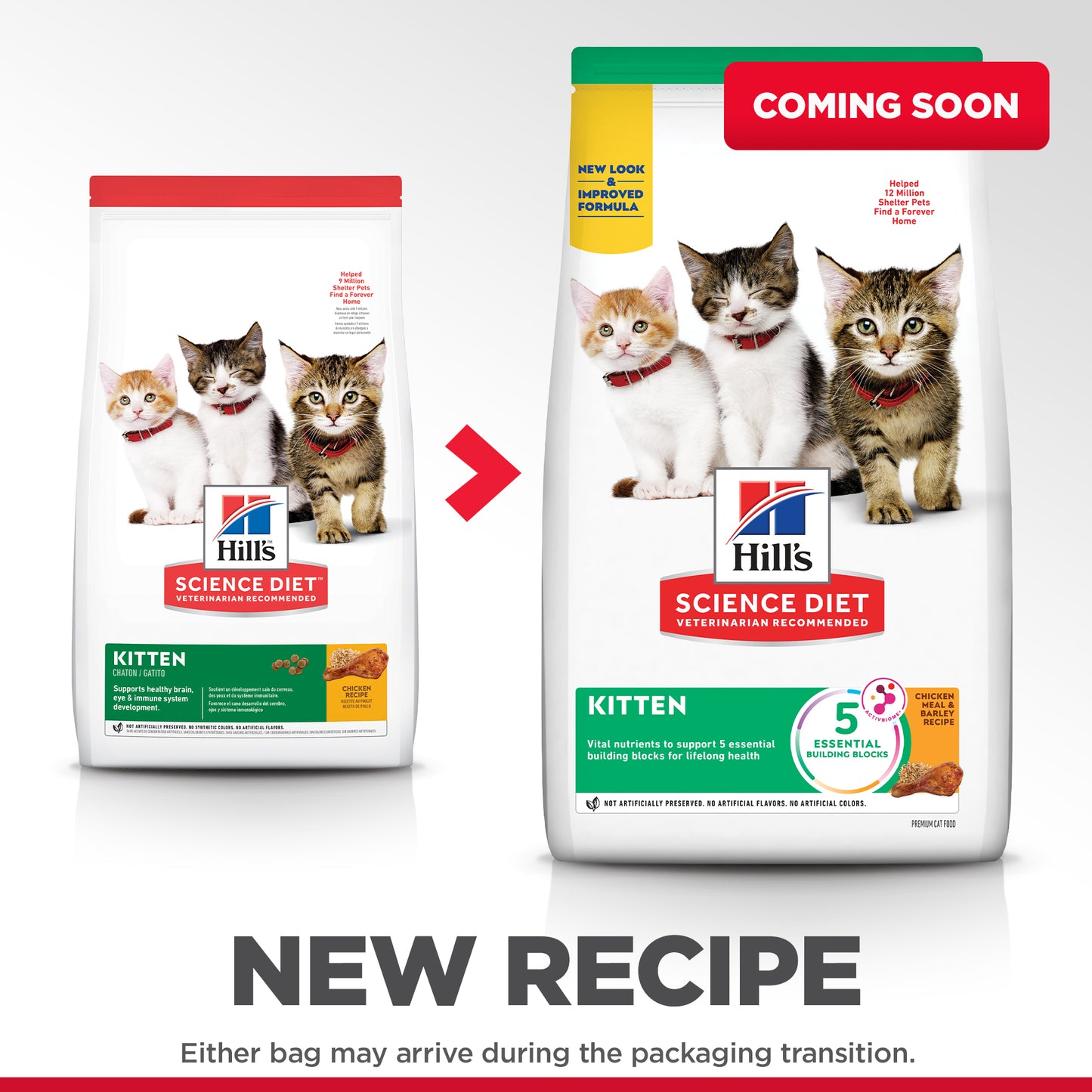 Hill's Science Diet Kitten Dry Cat Food