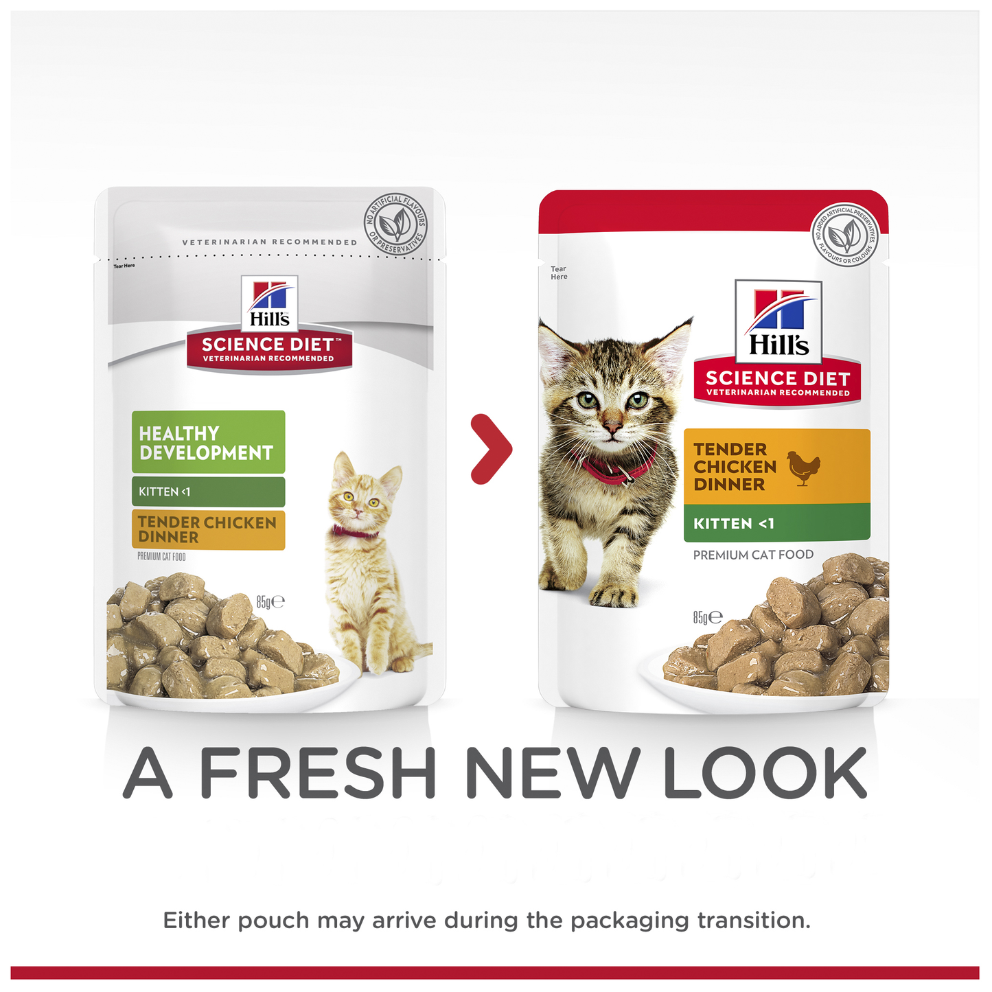 Hill's Science Diet Chicken Wet Kitten Food