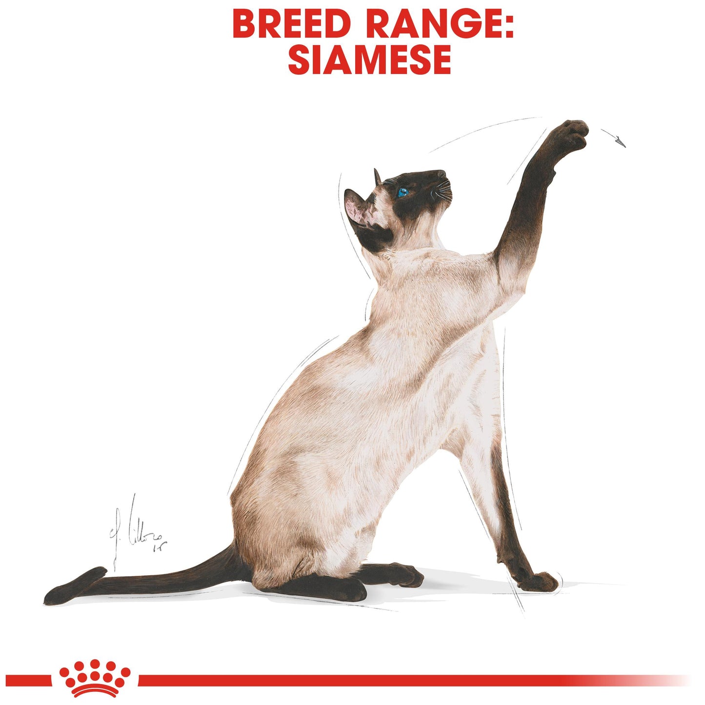 Royal Canin Adult Siamese Dry Cat Food