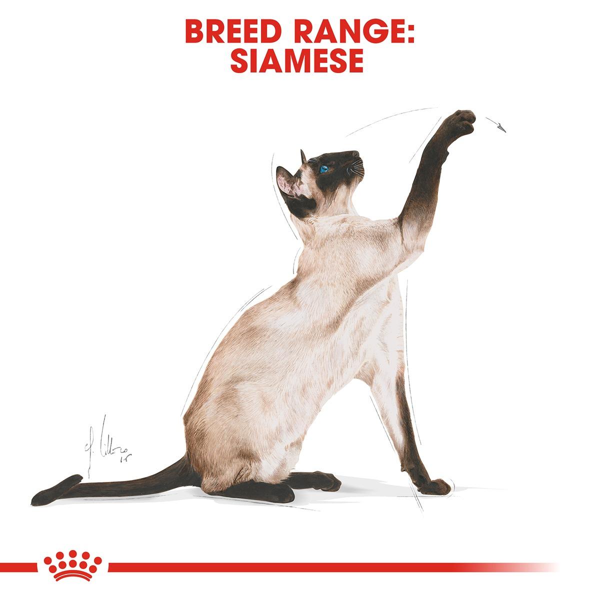 Royal Canin Adult Siamese Dry Cat Food