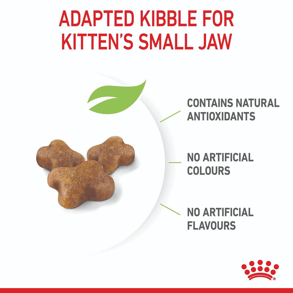 Royal Canin Kitten Second Age Dry Cat Food