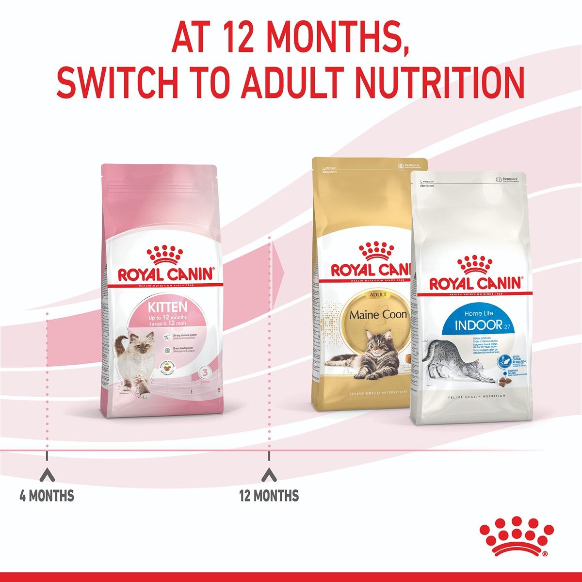 Royal Canin Kitten Second Age Dry Cat Food