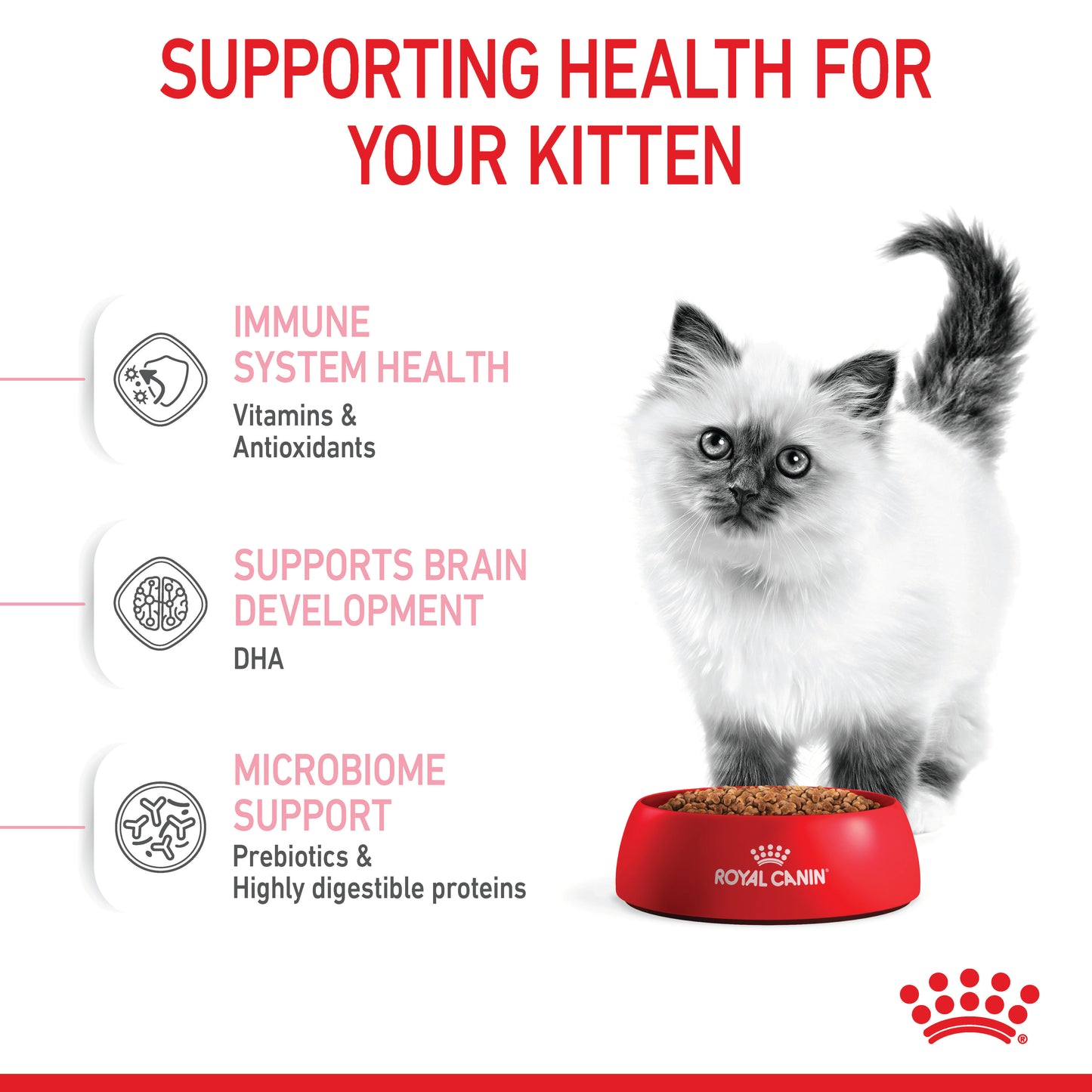 Royal Canin Kitten Second Age Dry Cat Food