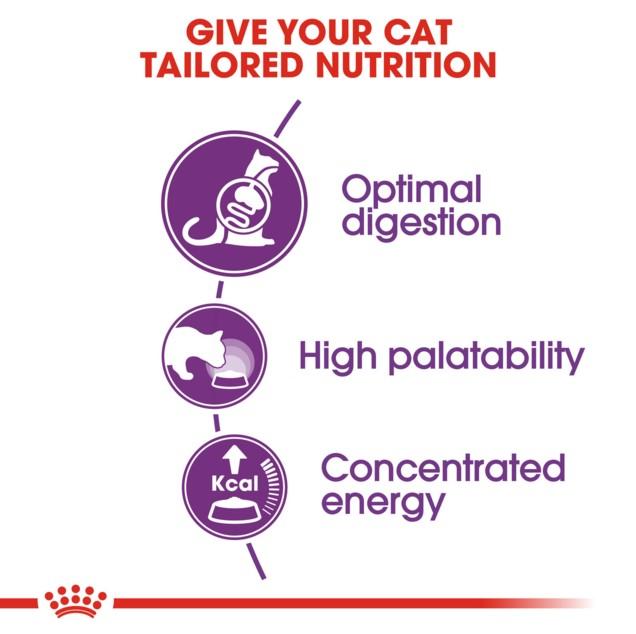 Royal Canin Sensible Dry Cat Food