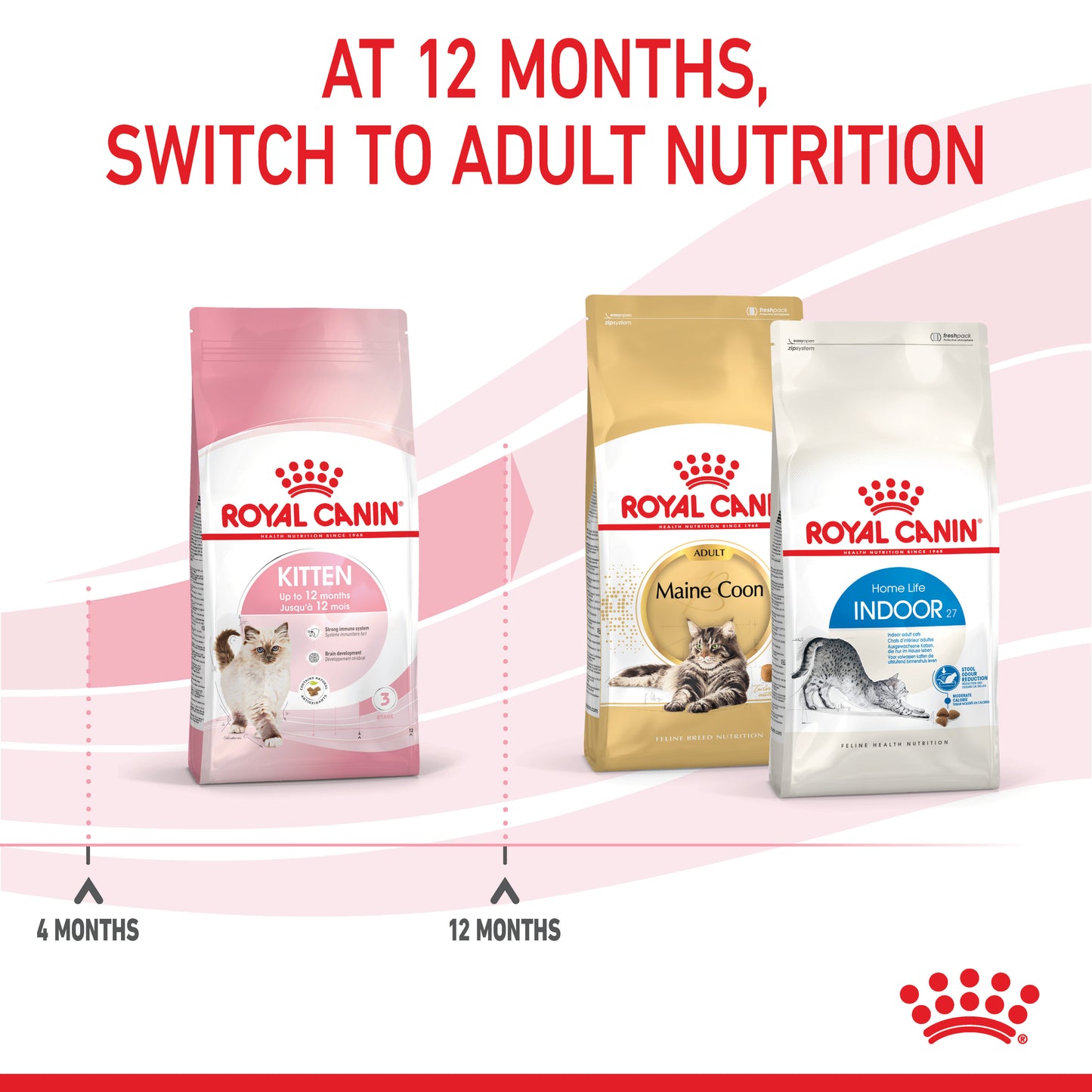 Royal Canin Kitten Second Age Dry Cat Food