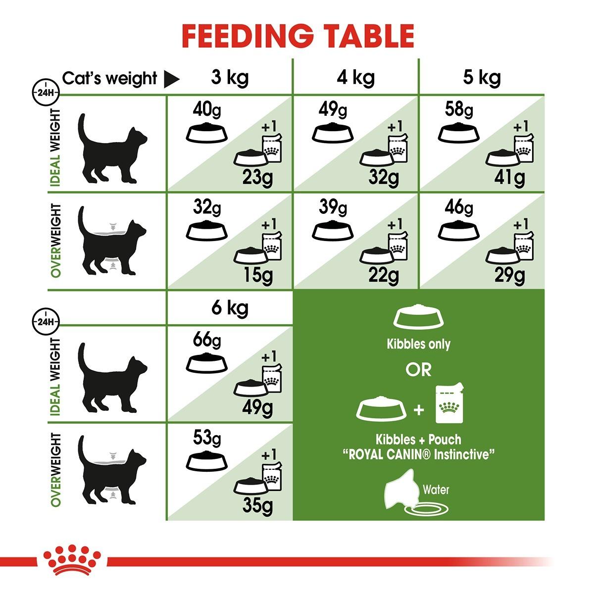 Royal Canin Active Life Outdoor Dry Cat Food