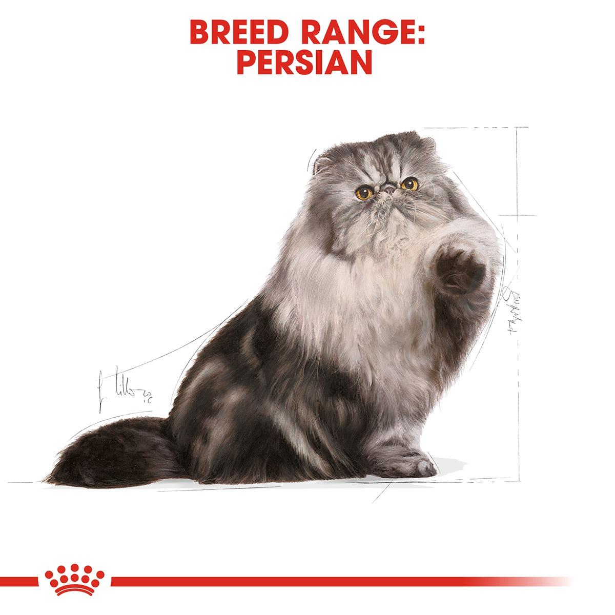 Royal Canin Persian Dry Cat Food