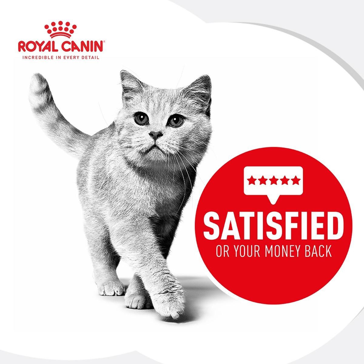 Royal Canin Persian Dry Cat Food