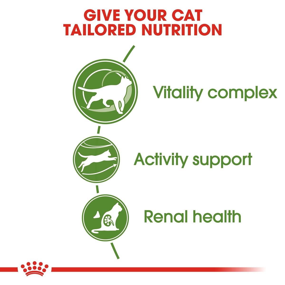 Royal Canin Active Life Outdoor 7+ Dry Cat Food