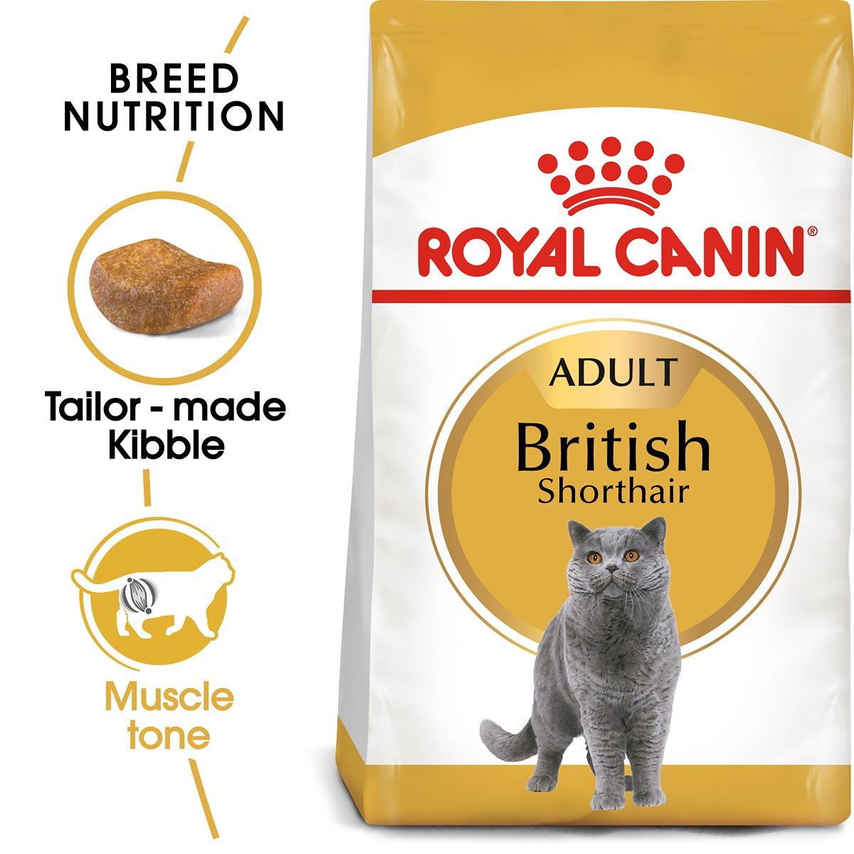 Royal Canin British Shorthaired Dry Cat Food