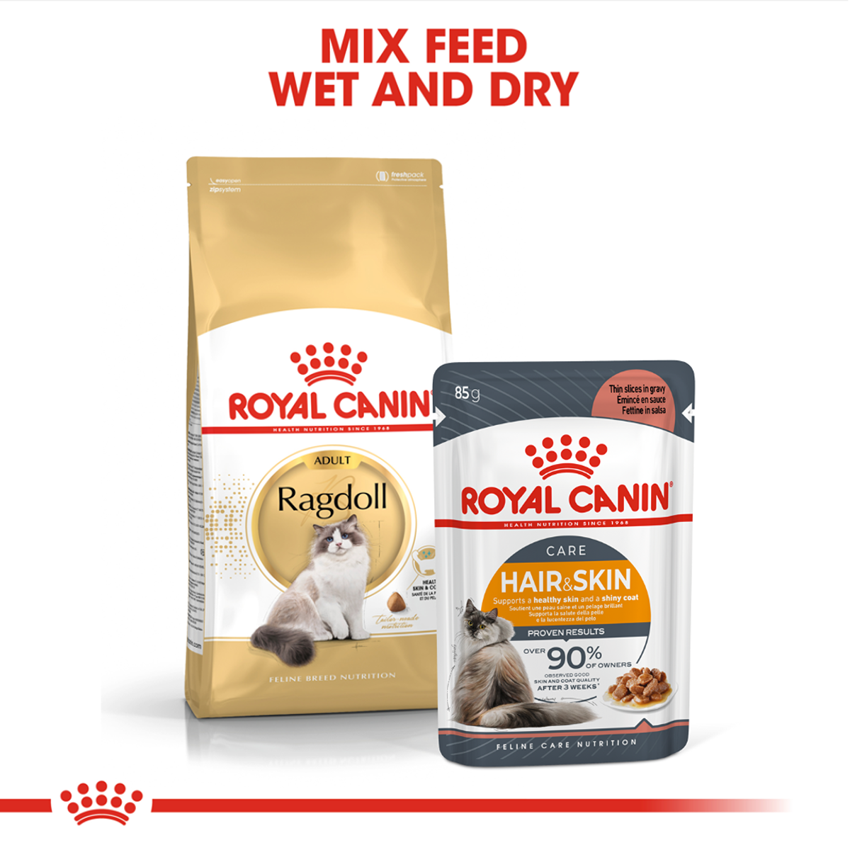 Royal Canin Ragdoll Adult Dry Cat Food