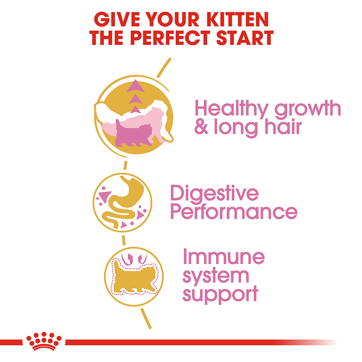 Royal Canin Persian Kitten Dry Kitten Food