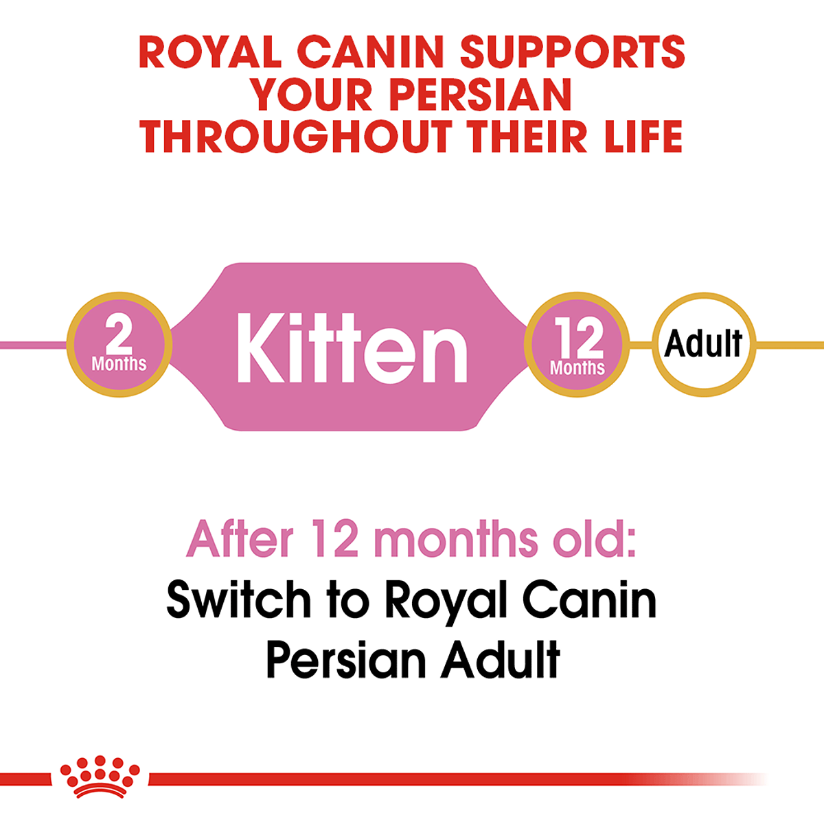 Royal Canin Persian Kitten Dry Kitten Food