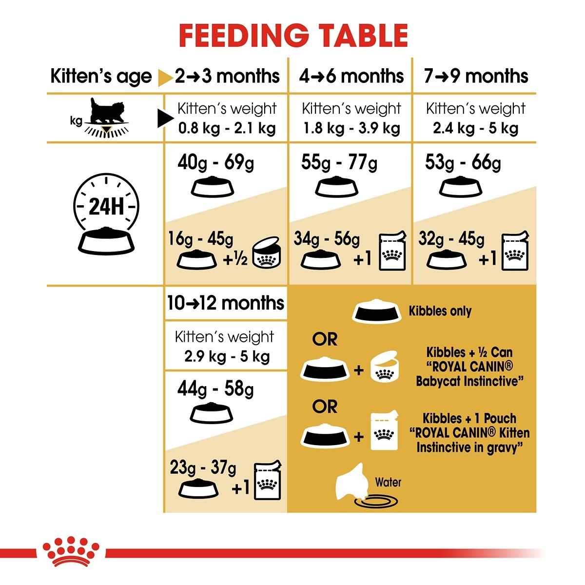 Royal Canin Persian Kitten Dry Kitten Food