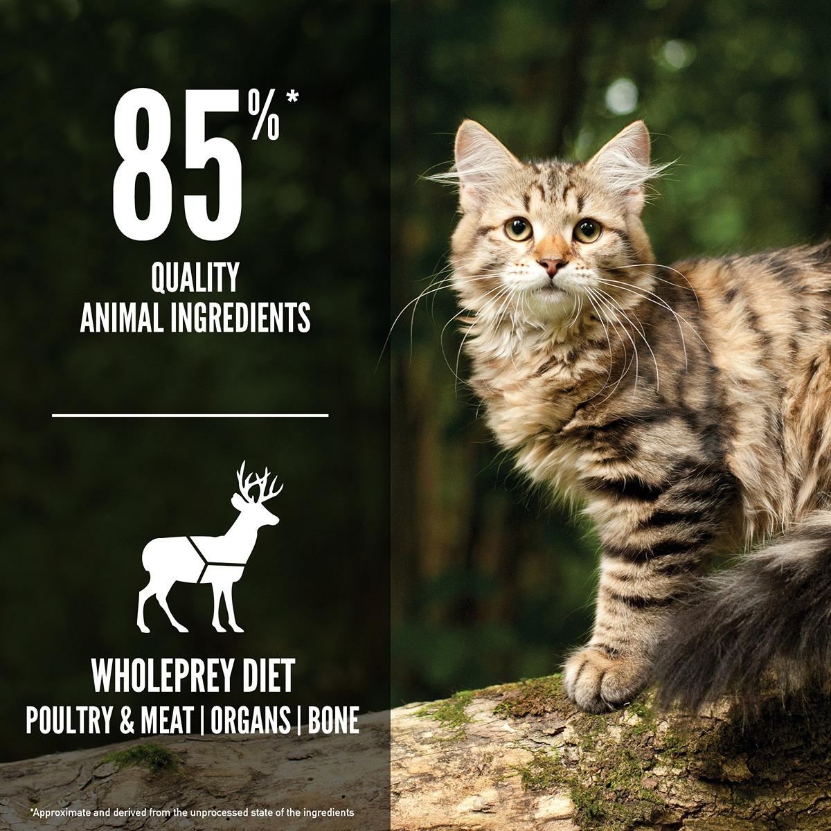 Orijen Tundra Dry Cat Food