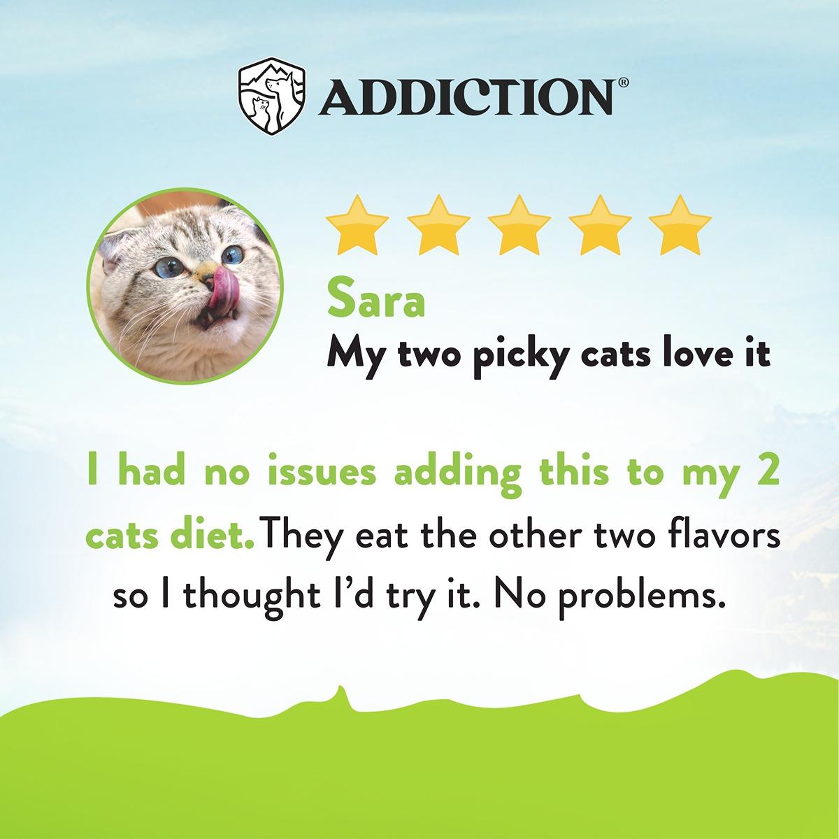 Addiction Viva La Venison Grain Free Dry Cat Food