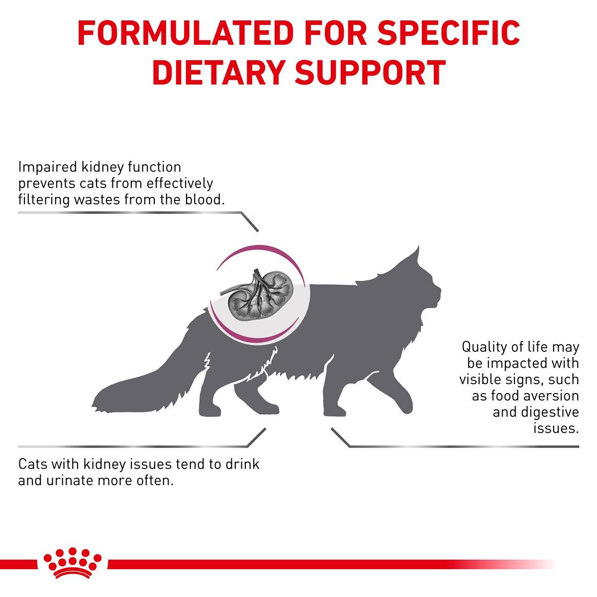 Royal Canin Veterinary Diet Renal Dry Cat Food