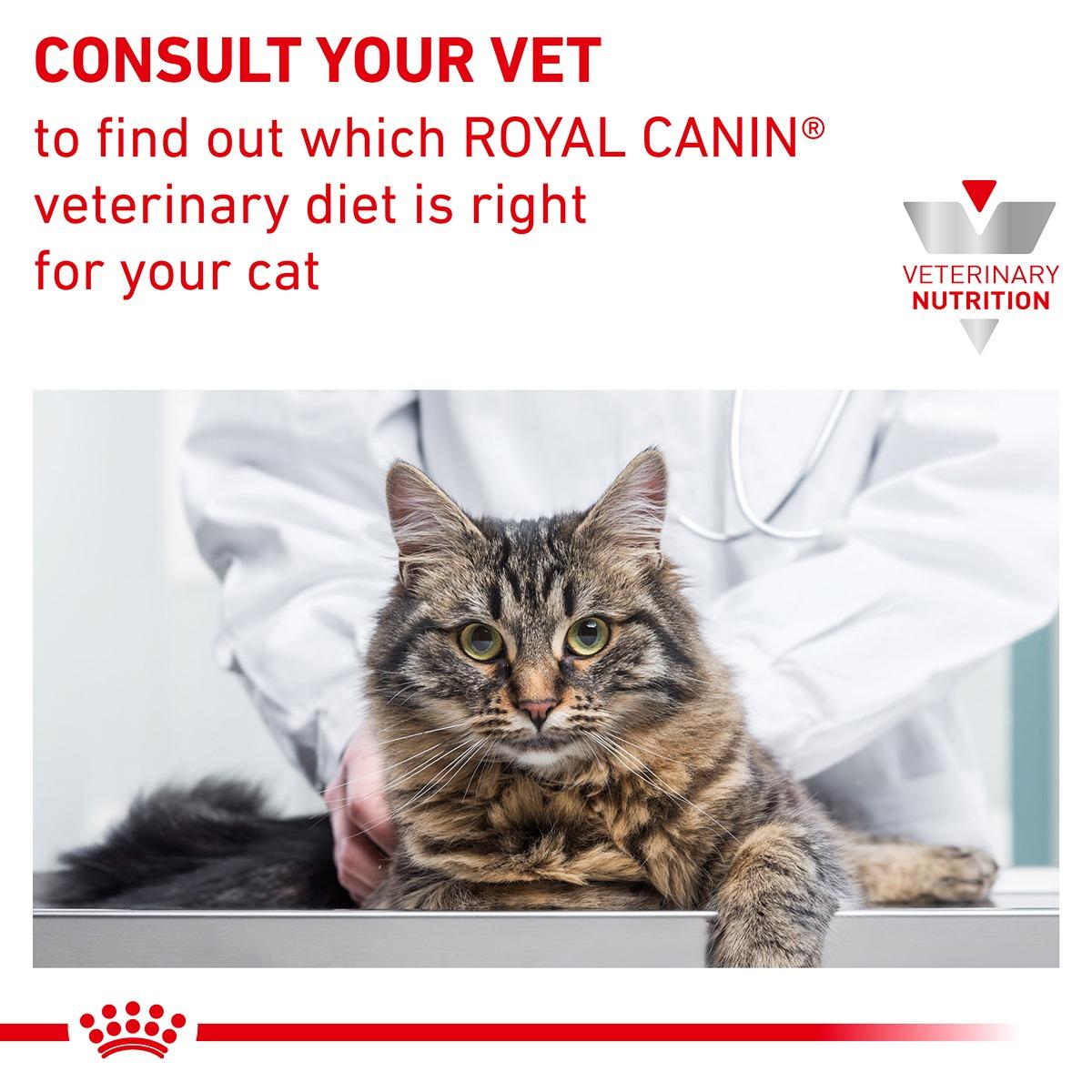 Royal Canin Veterinary Diet Renal Dry Cat Food