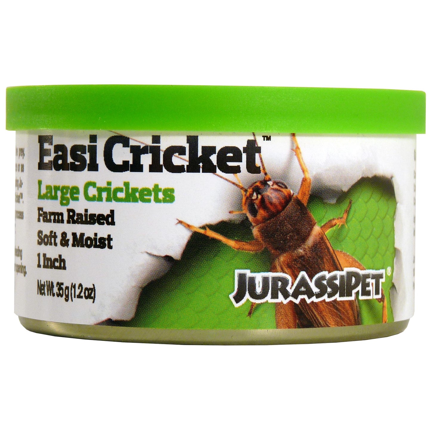 Jurassi Diet Easi Cricket  - Large