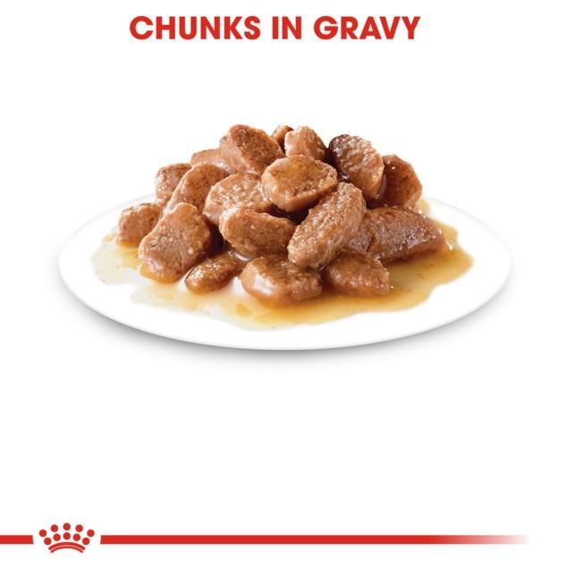 Royal Canin Instinctive Cat Food in Gravy Wet Cat Food