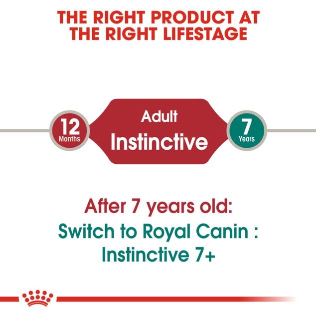 Royal Canin Instinctive Cat Food in Gravy Wet Cat Food