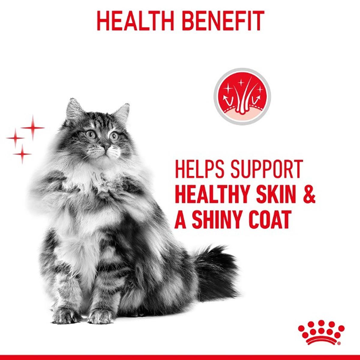 Royal Canin Hair & Skin Care in Gravy Wet Cat Food