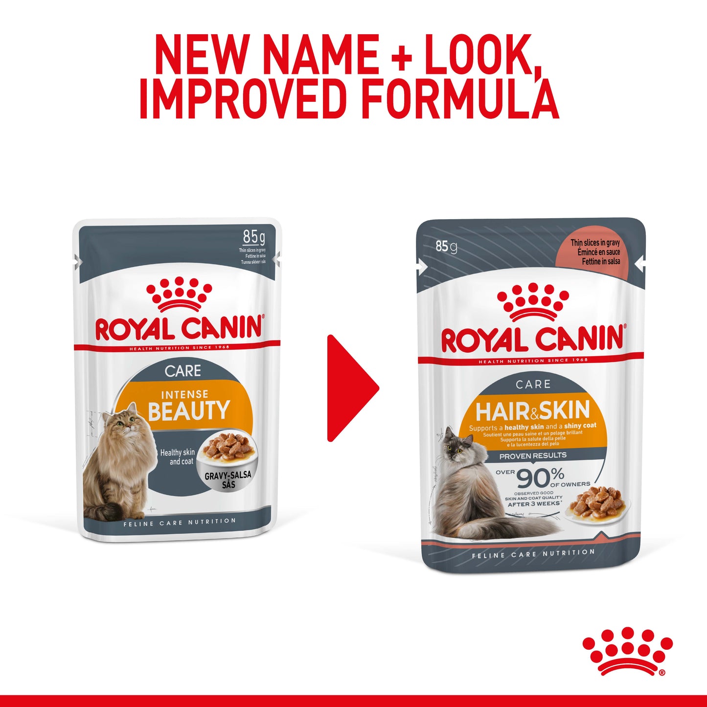 Royal Canin Hair & Skin Care in Gravy Wet Cat Food