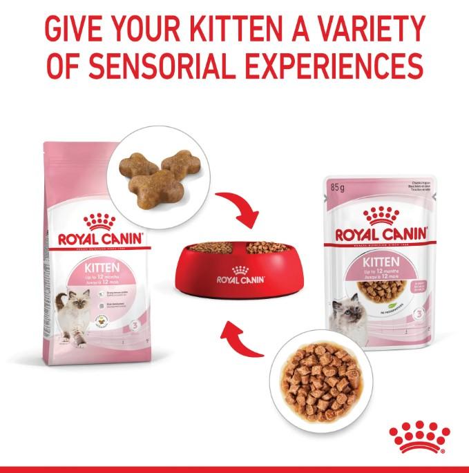 Royal Canin Instinctive Kitten Food in Gravy Wet Kitten Food