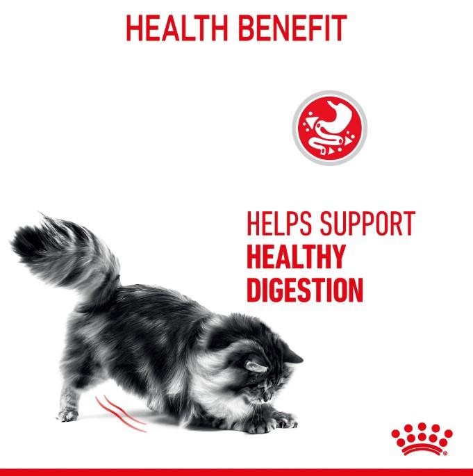 Royal Canin Digestive Care in Gravy Wet Cat Food