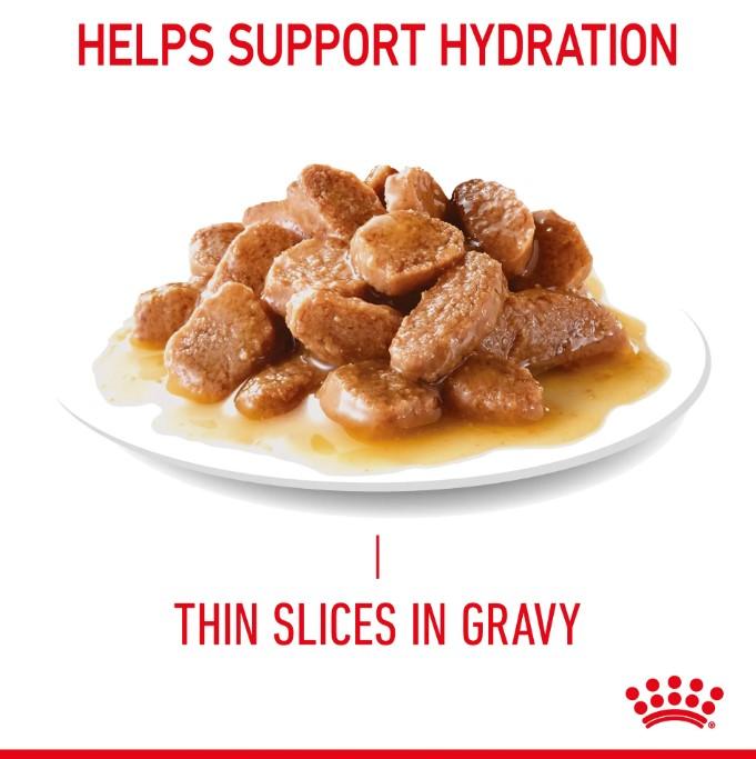 Royal Canin Digestive Care in Gravy Wet Cat Food