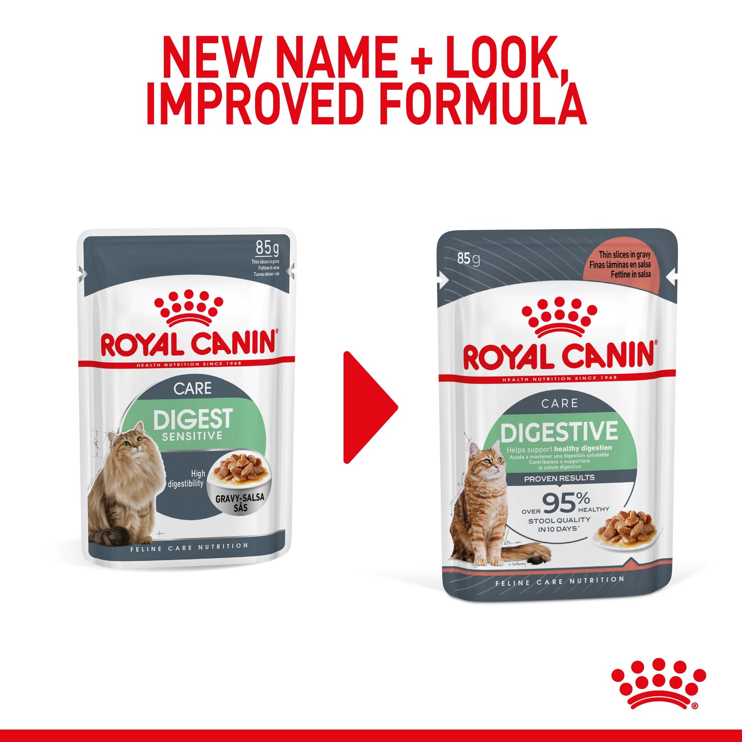 Royal Canin Digestive Care in Gravy Wet Cat Food