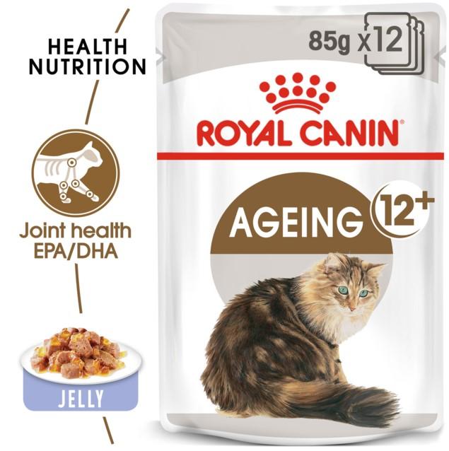 Royal Canin Ageing 12 + in Jelly Wet Cat Food