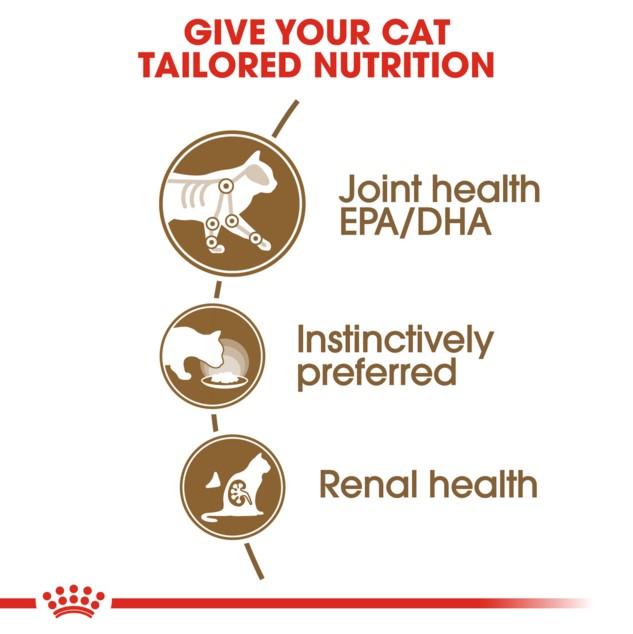 Royal Canin Ageing 12 + in Jelly Wet Cat Food