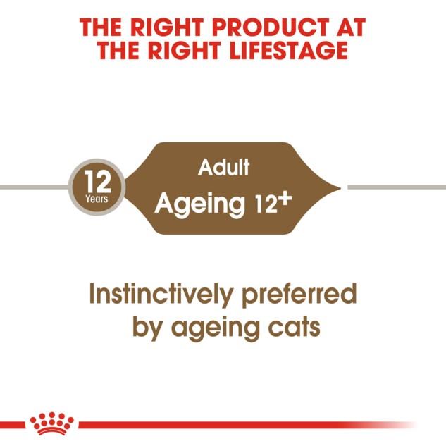 Royal Canin Ageing 12 + in Jelly Wet Cat Food