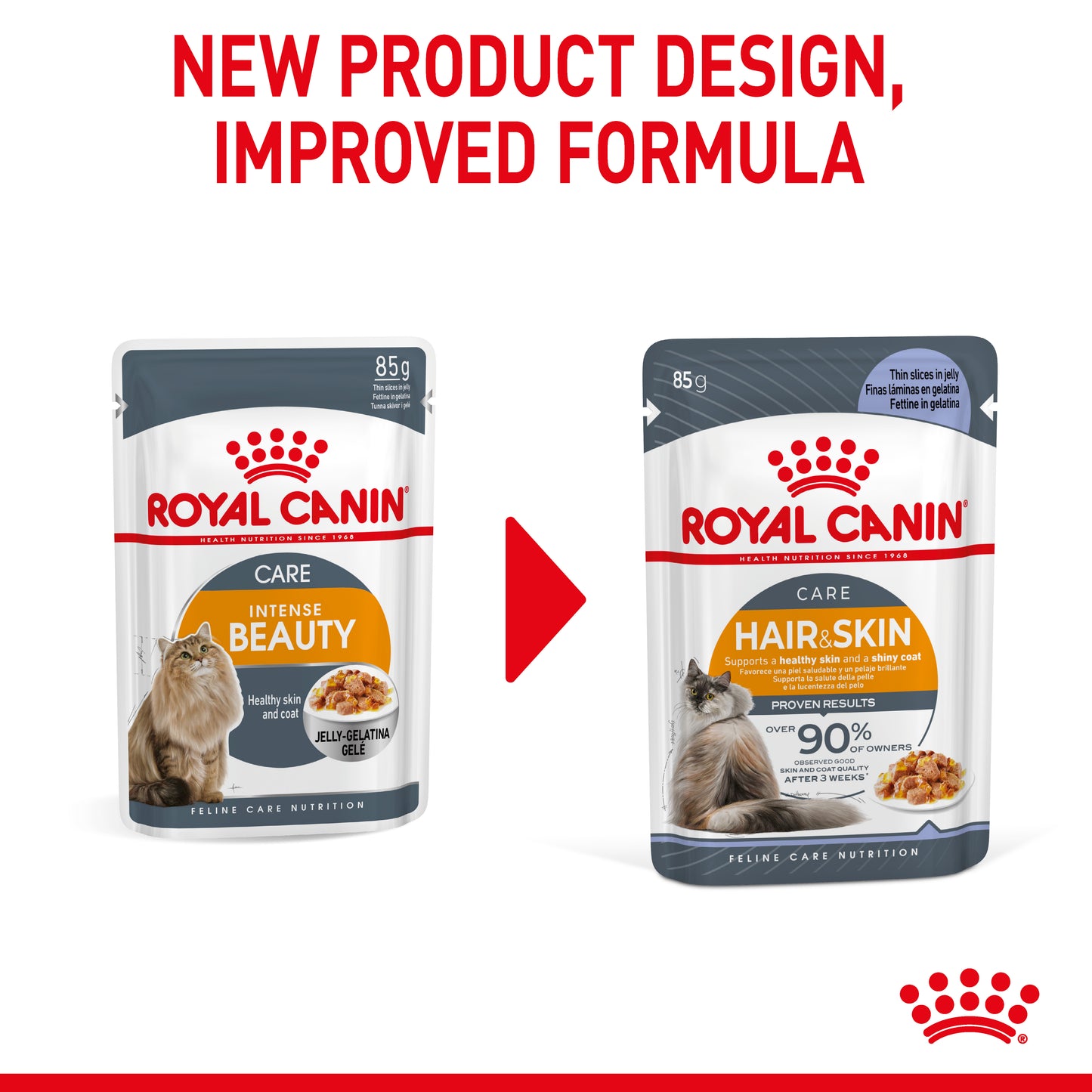 Royal Canin Hair & Skin Care in Jelly Wet Cat Food