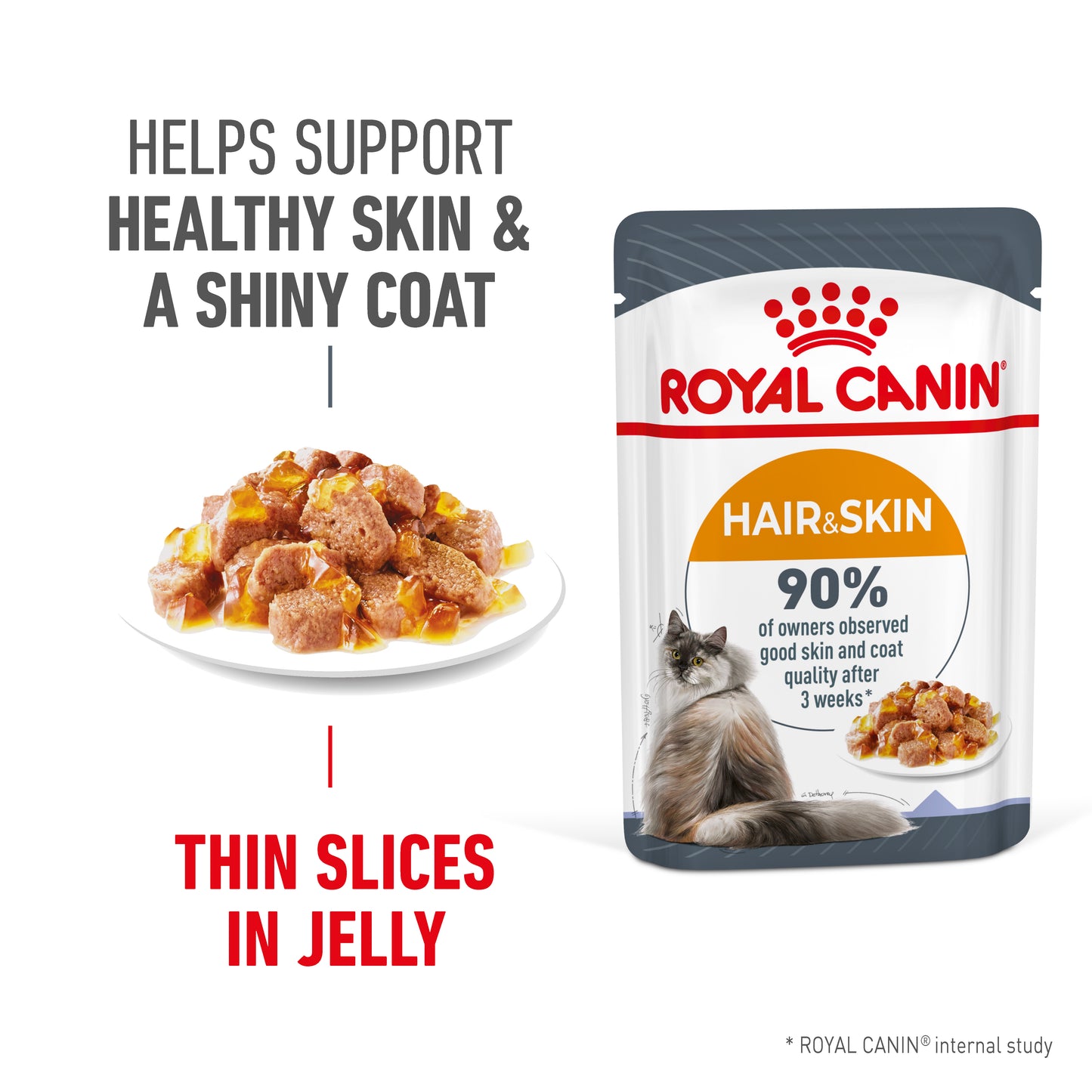 Royal Canin Hair & Skin Care in Jelly Wet Cat Food