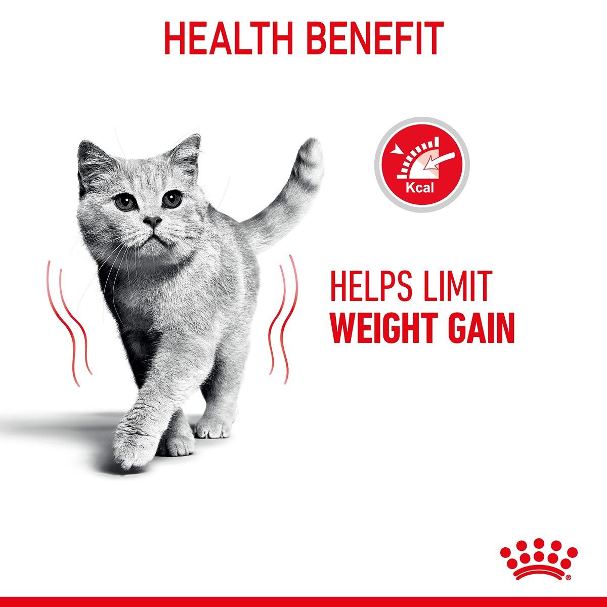 Royal Canin Light Weight Care in Jelly Wet Cat Food