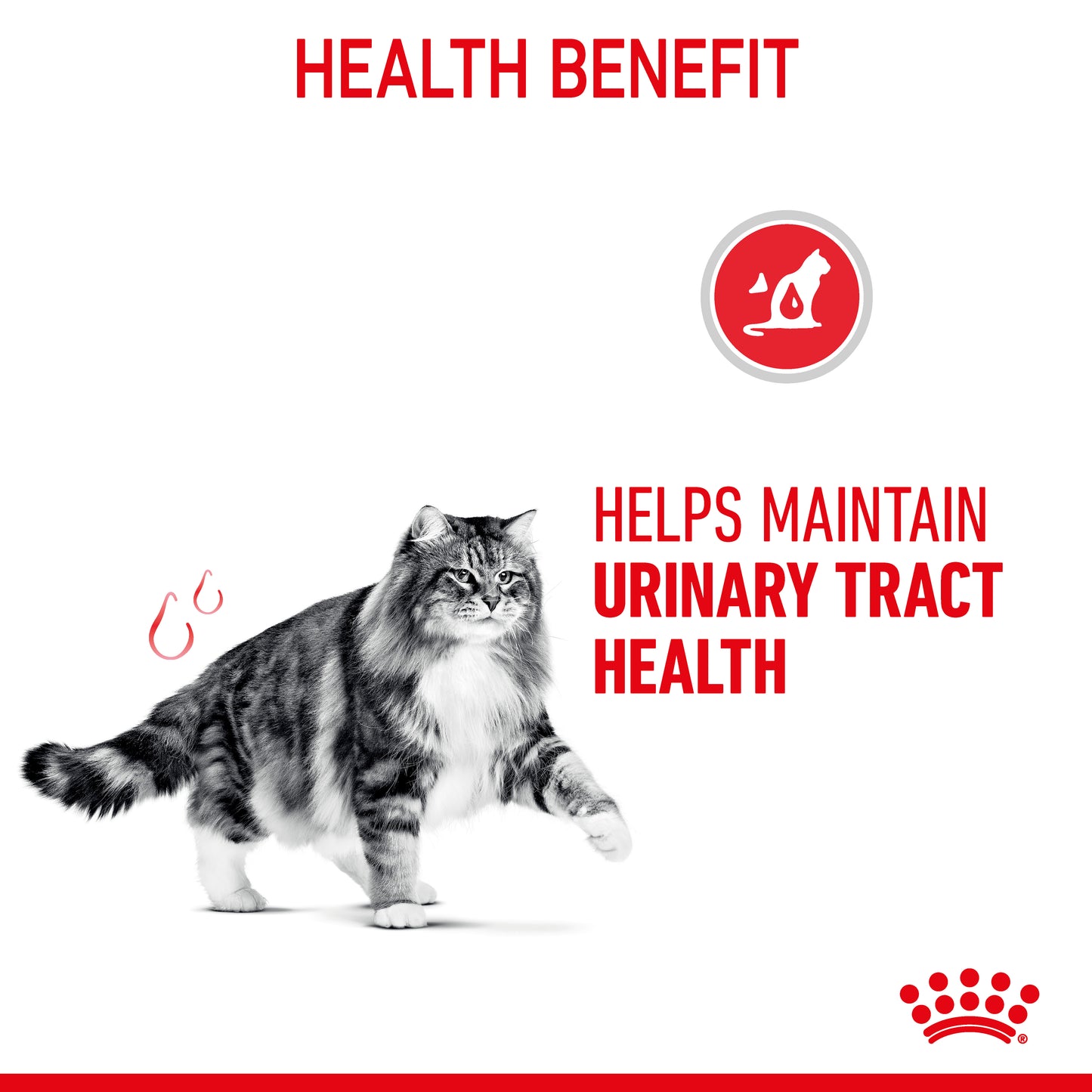 Royal Canin Urinary Care Gravy Wet Cat Food