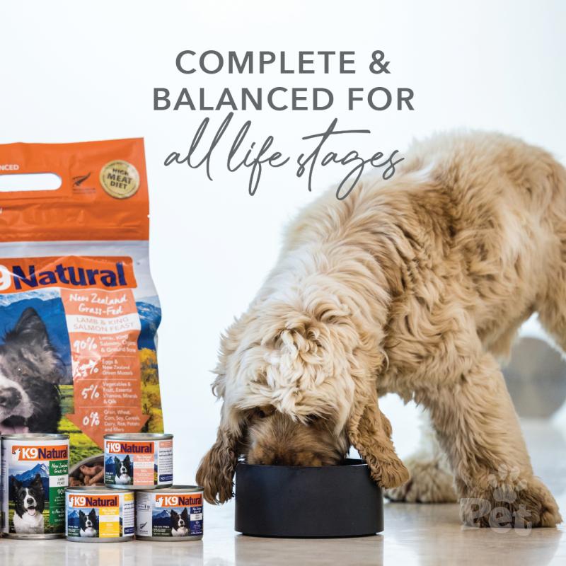 K9 Natural Beef Feast Wet Dog Food