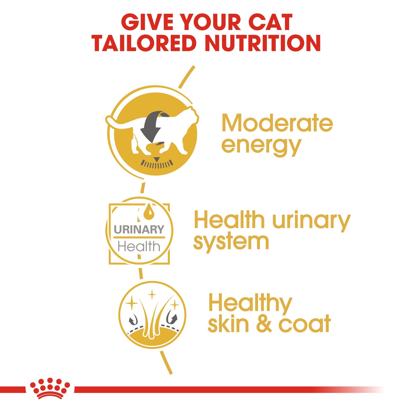 Royal Canin British Shorthaired Wet Cat Food