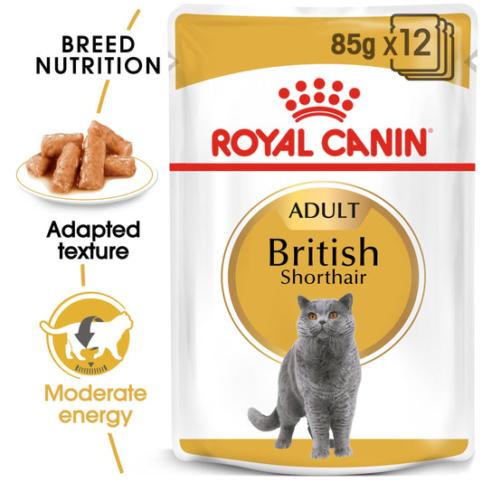 Royal Canin British Shorthaired Wet Cat Food