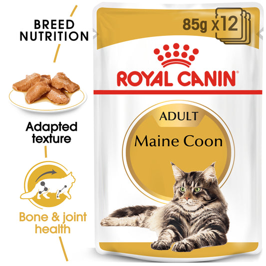Royal Canin Maine Coon Gravy Wet Cat Food